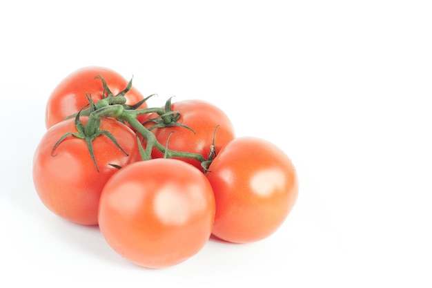 Tomates sur une branche isolé fond blanc