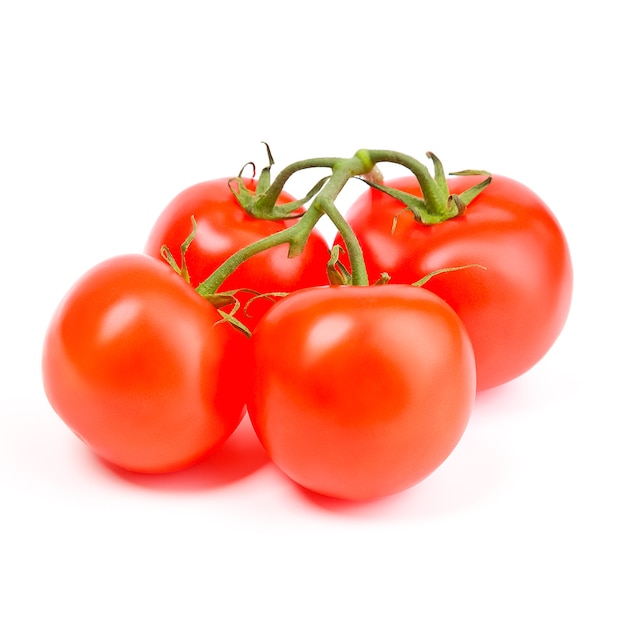 Tomates sur une branche verte sur fond blanc.