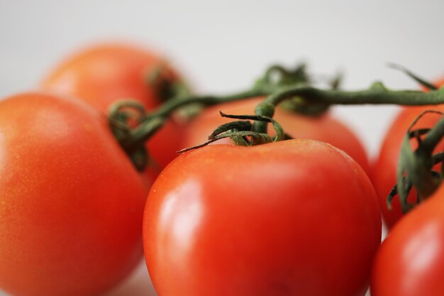 Tomates sur une branche