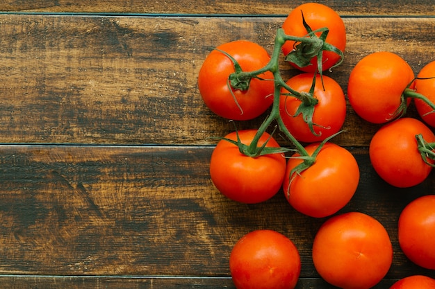 Tomates avec branche