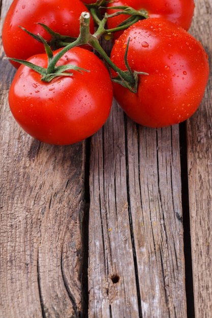 Tomates sur la branche