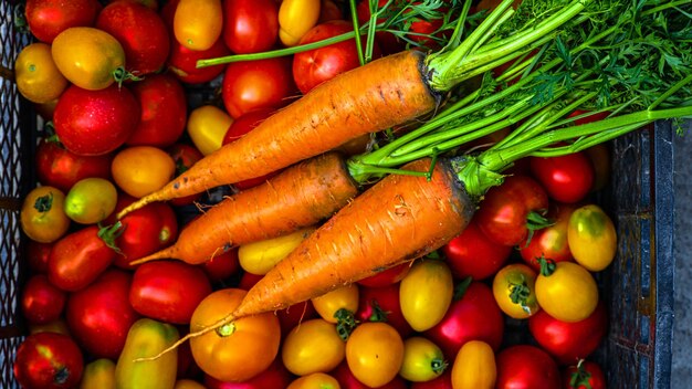 Tomates carottes sur la tableCarottes tomates juste cueillies dans le jardin sur planches de bois carottes tomates