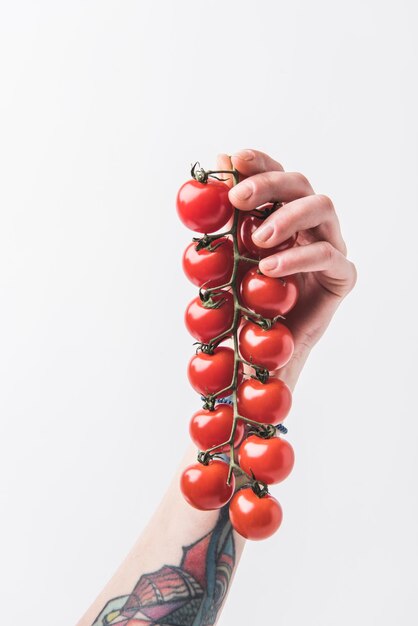 tomates à la cerise à la main