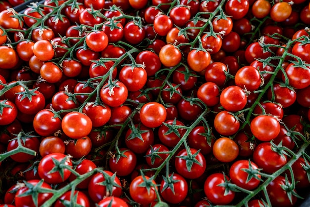 Tomates cerises biologiques fraîches comme toile de fond