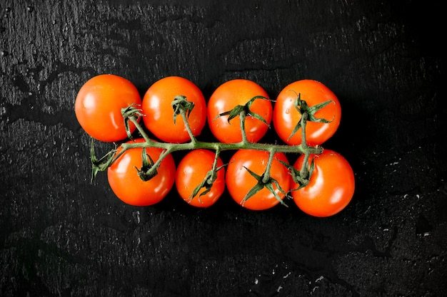 tomates cerises sur une branche sur fond sombre