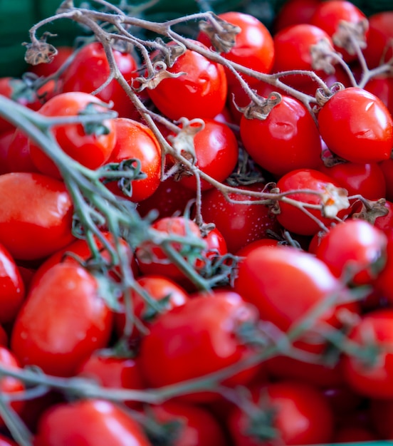 Tomates cerises sur branche