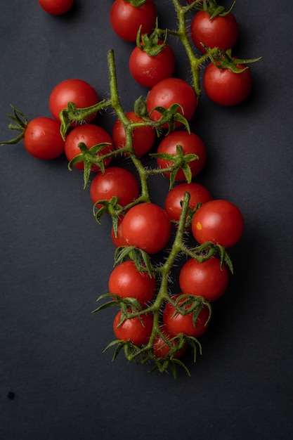 Tomates cerises sur les branches, vue de dessus