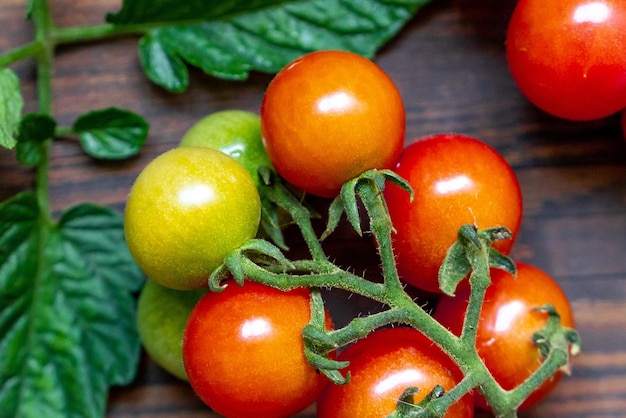 Tomates cerises sur fond de table en bois