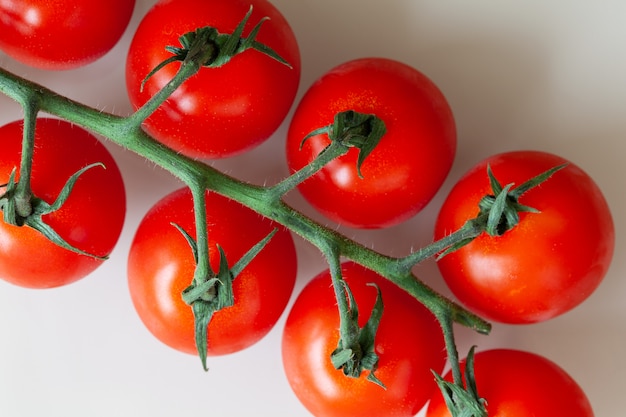 Tomates cerises fraîches sur brindille