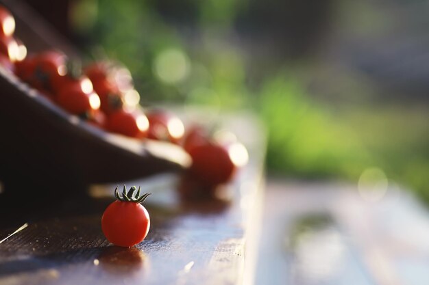 Tomates cerises fraîches écologiques de ferme sur un fond en bois