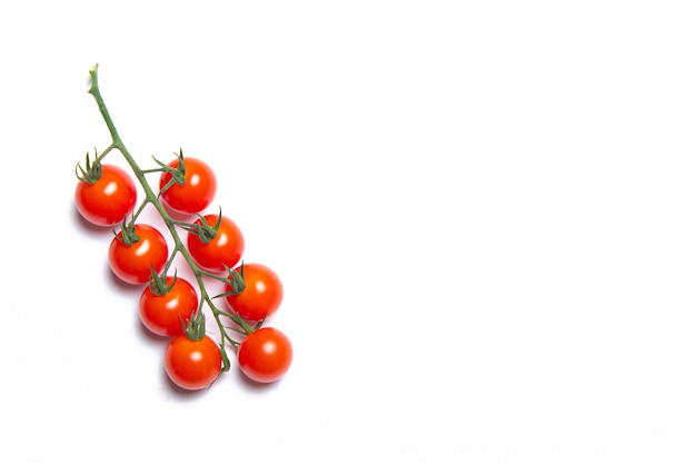 Tomates cerises isolées