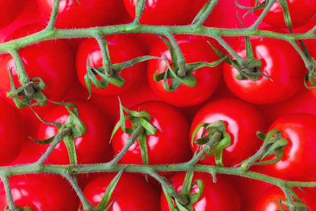 Tomates cerises sur rouge