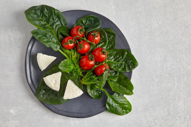 Tomates cerises rouges sur une branche feuilles d'épinards vertes et fromage caillé mozzarella sur une plaque sombre sur une table en béton clair