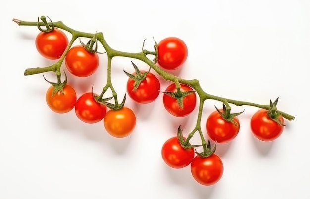 Tomates cerises rouges sur une brindille