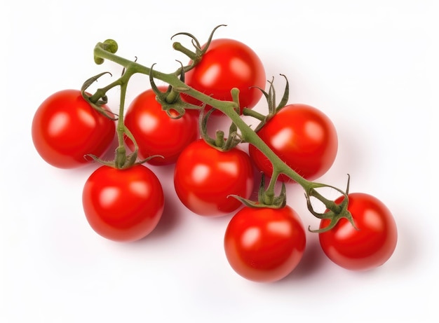 Tomates cerises rouges sur une brindille