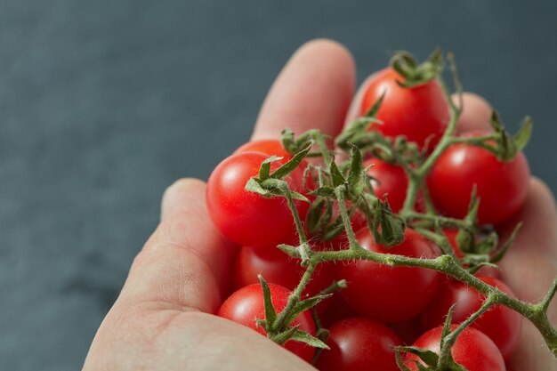 Tomates cerises rouges dans la main d'un homme isolé sur une ardoise noire