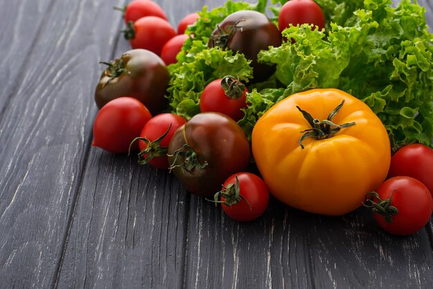 Tomates colorées sur fond noir