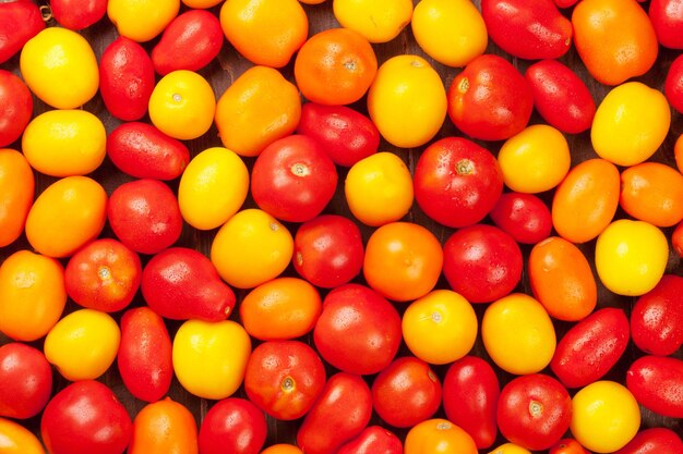 Tomates colorées Jaune orange et rouge