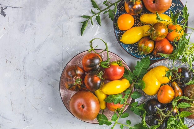 Tomates crues colorées dans des assiettes en céramique sur une surface en béton gris clair Concept de style de vie de serre et produits de l'agriculture de subsistance plat copiez l'espace pour votre texte