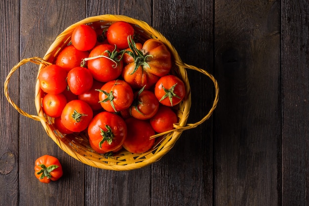 Tomates cultivées dans un potager dans un panier en osier sur une table en bois