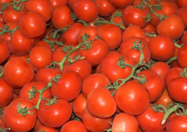 Tomates dans un marché de rue