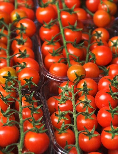 Tomates dans un marché de rue