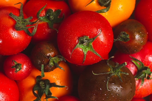 Photo tomates de différentes couleurs et variétés en gros plan