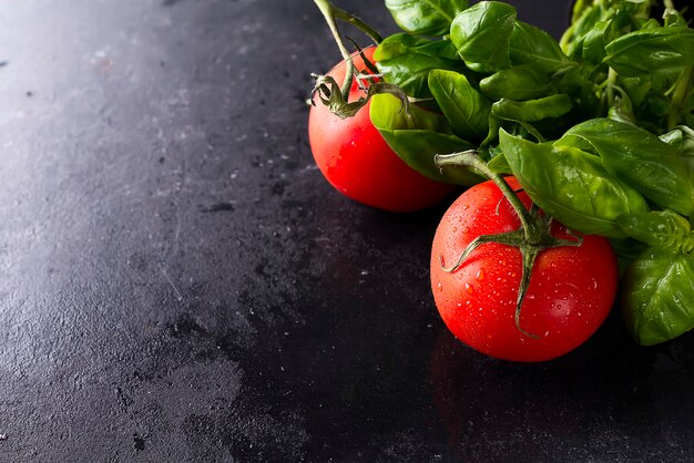 Tomates et feuilles de basilic