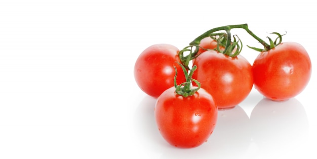 Tomates sur fond blanc