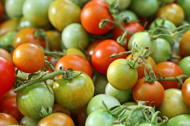 Tomates fraîches au marché