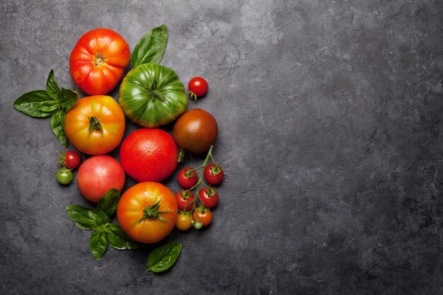 Tomates fraîches et colorées de jardin
