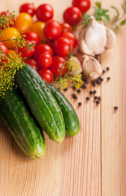 Tomates fraîches de concombres de branche de cerise et de fenouil