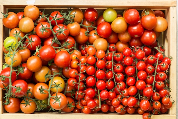 Tomates fraîches dans une boîte en bois. Vue de dessus.