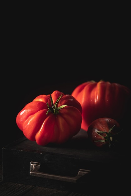 Tomates fraîches du jardin bio