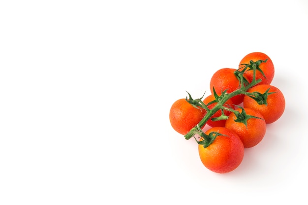 Tomates fraîches sur fond blanc