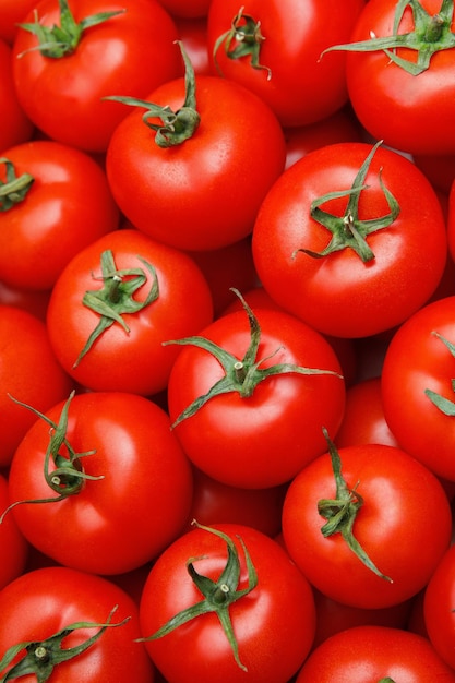 Photo tomates fraîches avec fond