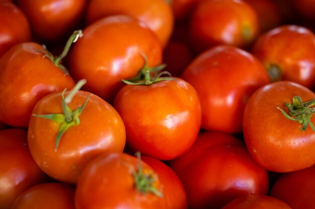 Tomates fraîches sur le marché