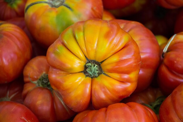 Tomates fraîches savoureuses en vue