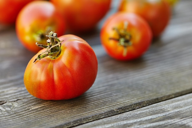 Tomates fraîches sur table en bois sur fond flou