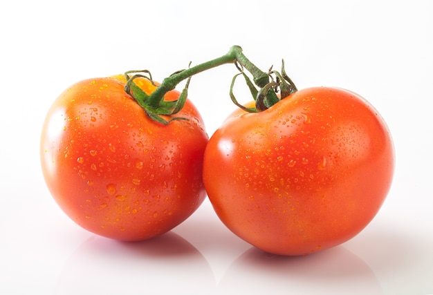 Tomates fraîches