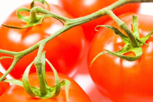 Tomates fraîches