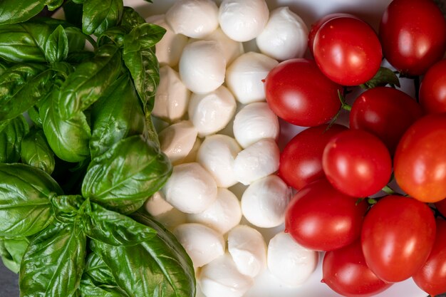 tomates, fromage et basilic disposés sur une assiette en forme de drapeau italien