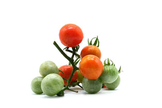 Tomates isolé sur fond blanc, légume biologique