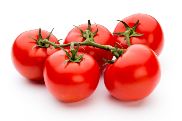 Tomates isolés sur blanc