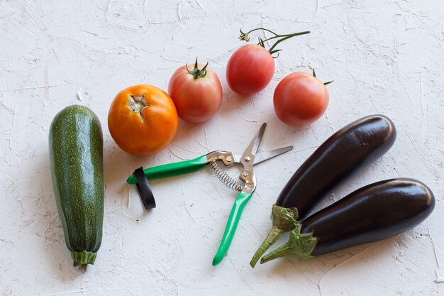 Des tomates juste cueillies, une courgette, des aubergines et un sécateur de jardin sur la surface structurée blanche