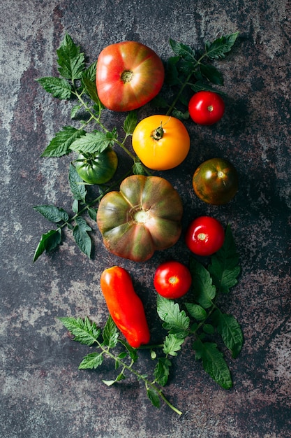 Tomates multicolores fraîches et mûres sur fond sombre.