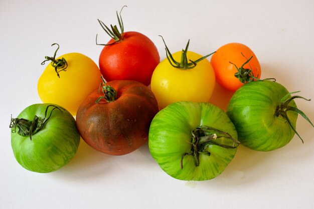 Tomates multicolores