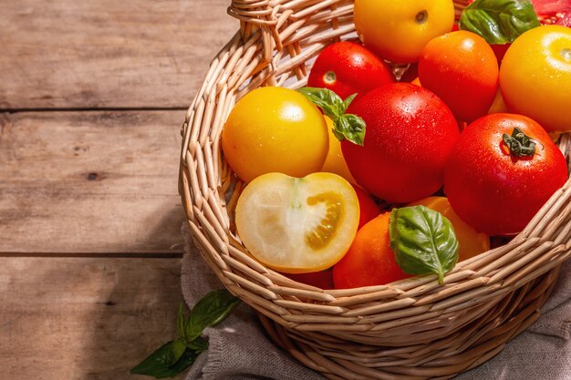 Tomates mûres assorties au basilic frais. Nouveaux légumes de récolte dans un panier en osier. Vieux fond en bois, gros plan