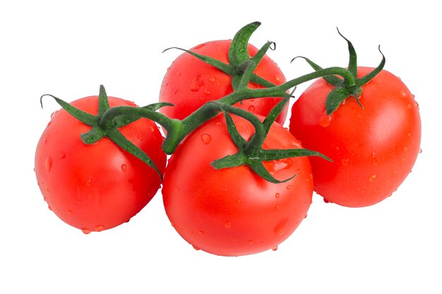 Tomates mûres sur une branche isolée sur fond blanc