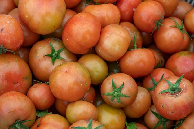 Des tomates mûres dans le panier.